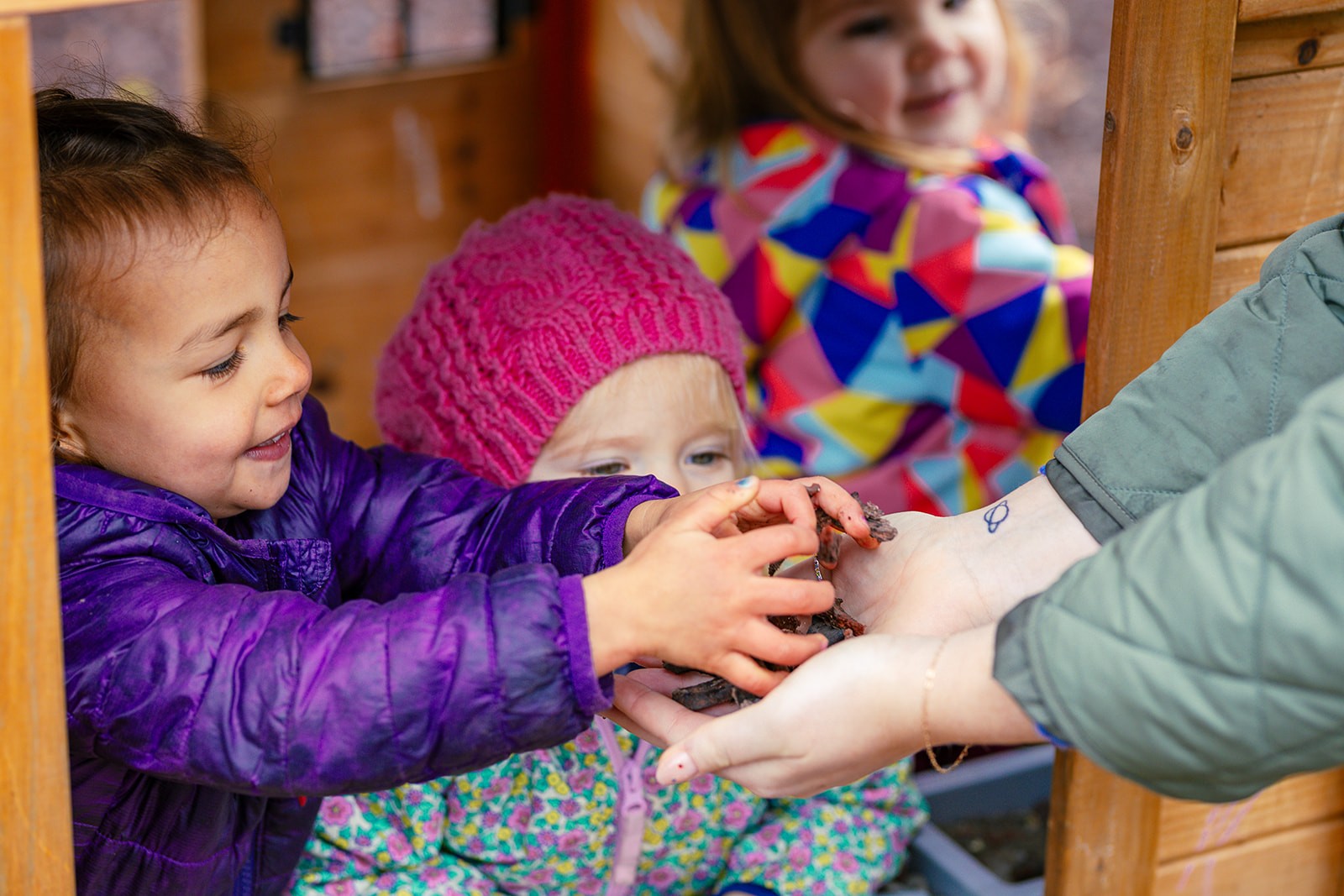 Young children discovering nature with a teacher